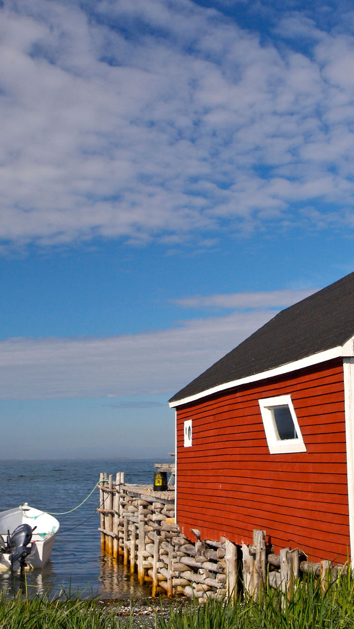 Red coastal cabin with moose antlers