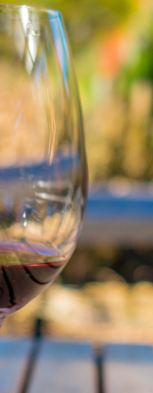Red wine glass with vineyard view