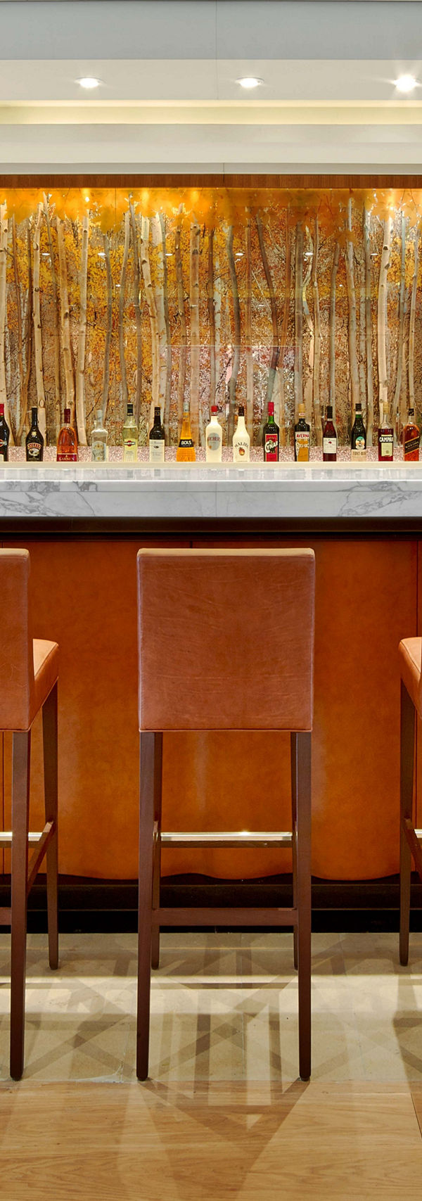 Modern bar with leather stools and backlit shelves