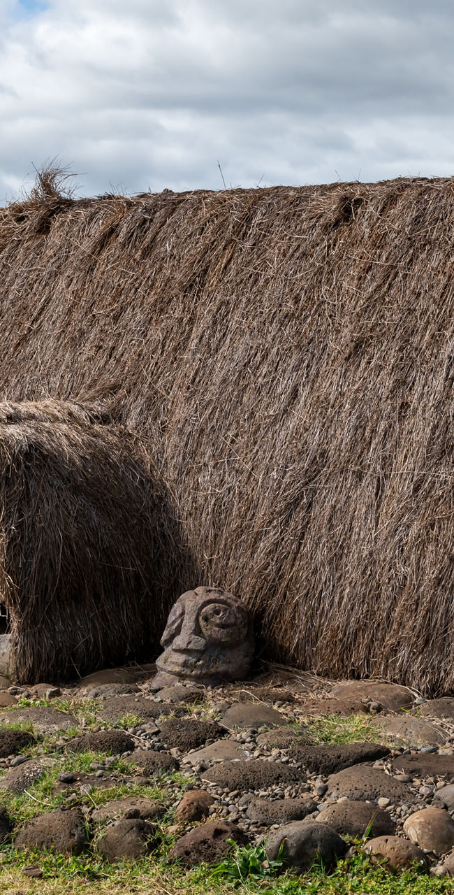Traditional thatched huts in rural landscape