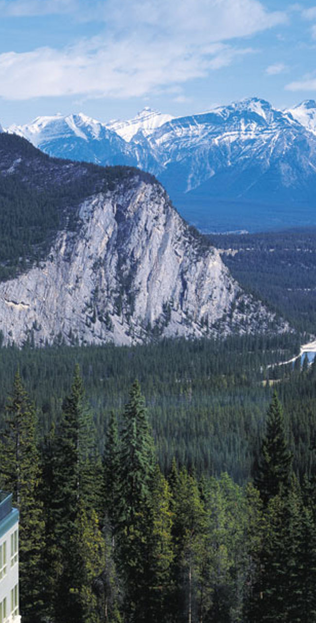 Mountain resort with scenic forest view