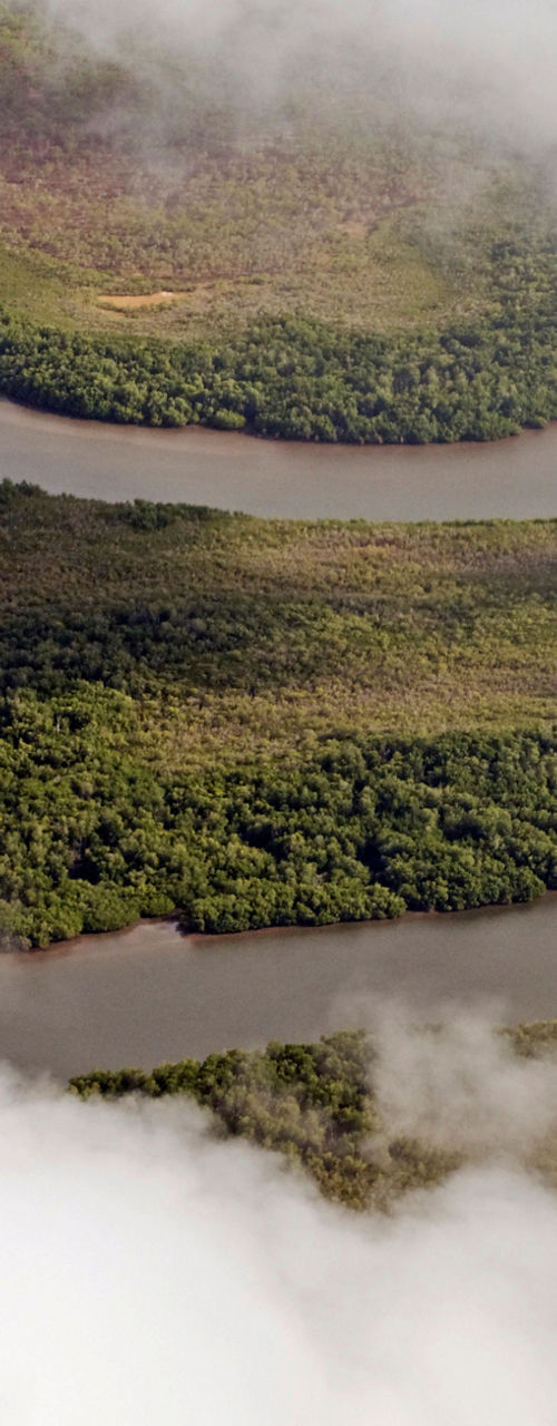 Aerial view of winding river and forest