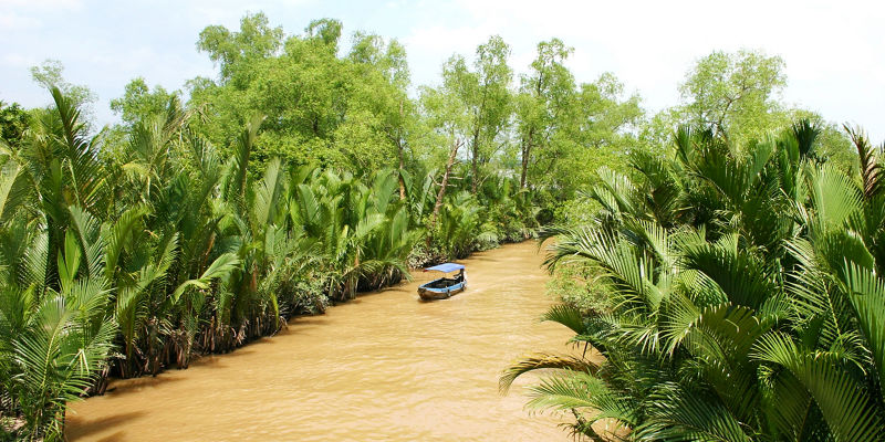 Boat navigating tropical river surrounded by greenery