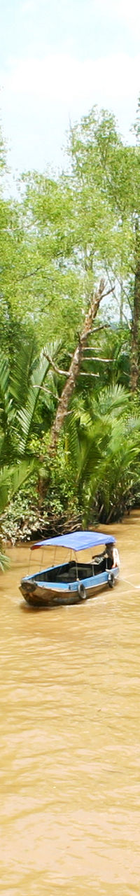 Boat navigating tropical river surrounded by greenery