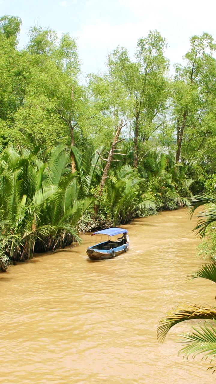 Boat navigating tropical river surrounded by greenery