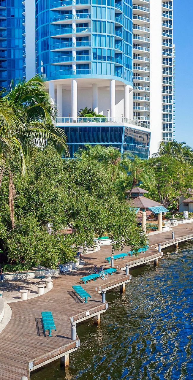 Scenic waterfront with palm trees and boats