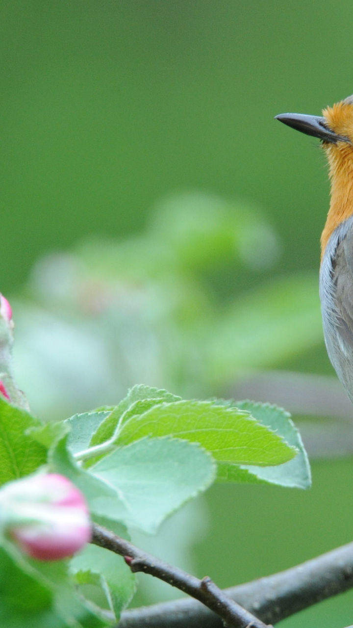 Engage in Citizen Science