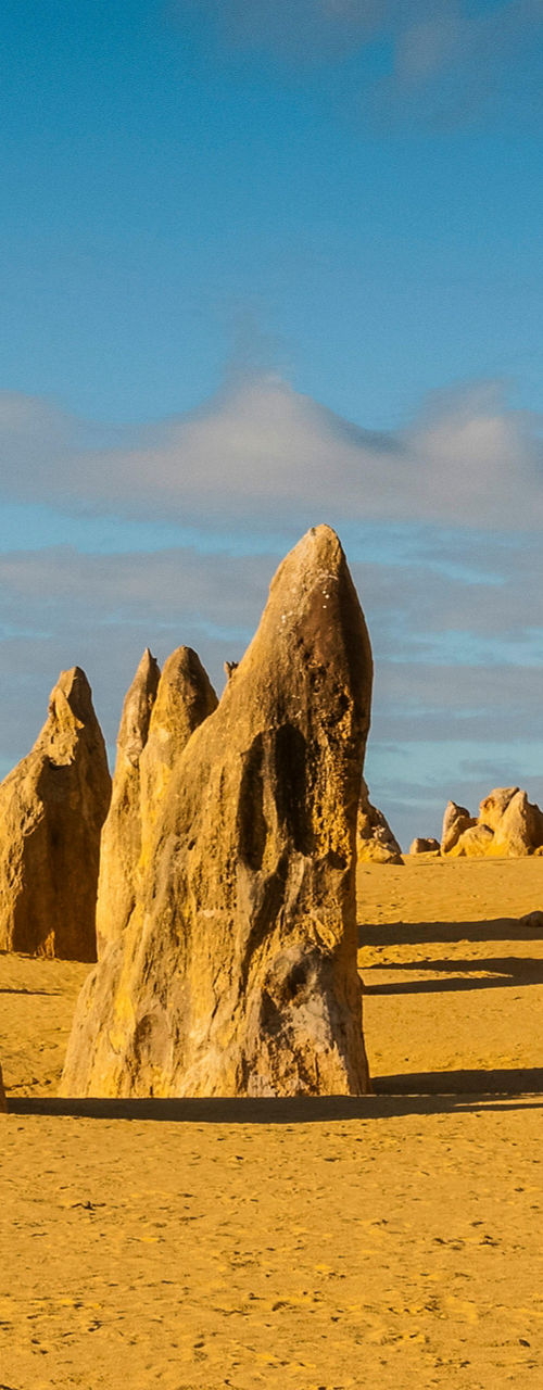Golden desert landscape with limestone formations
