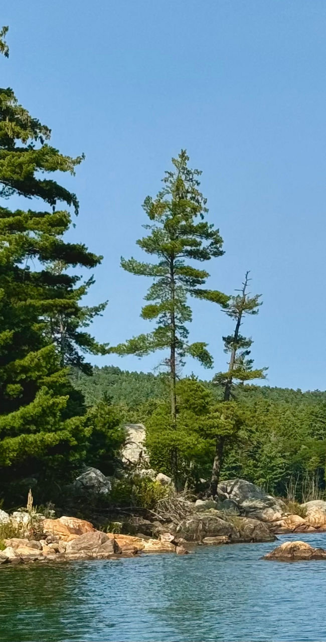 Scenic lake with pine trees and rocks