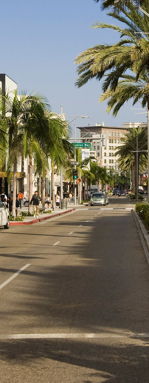 Sunny street lined with palm trees