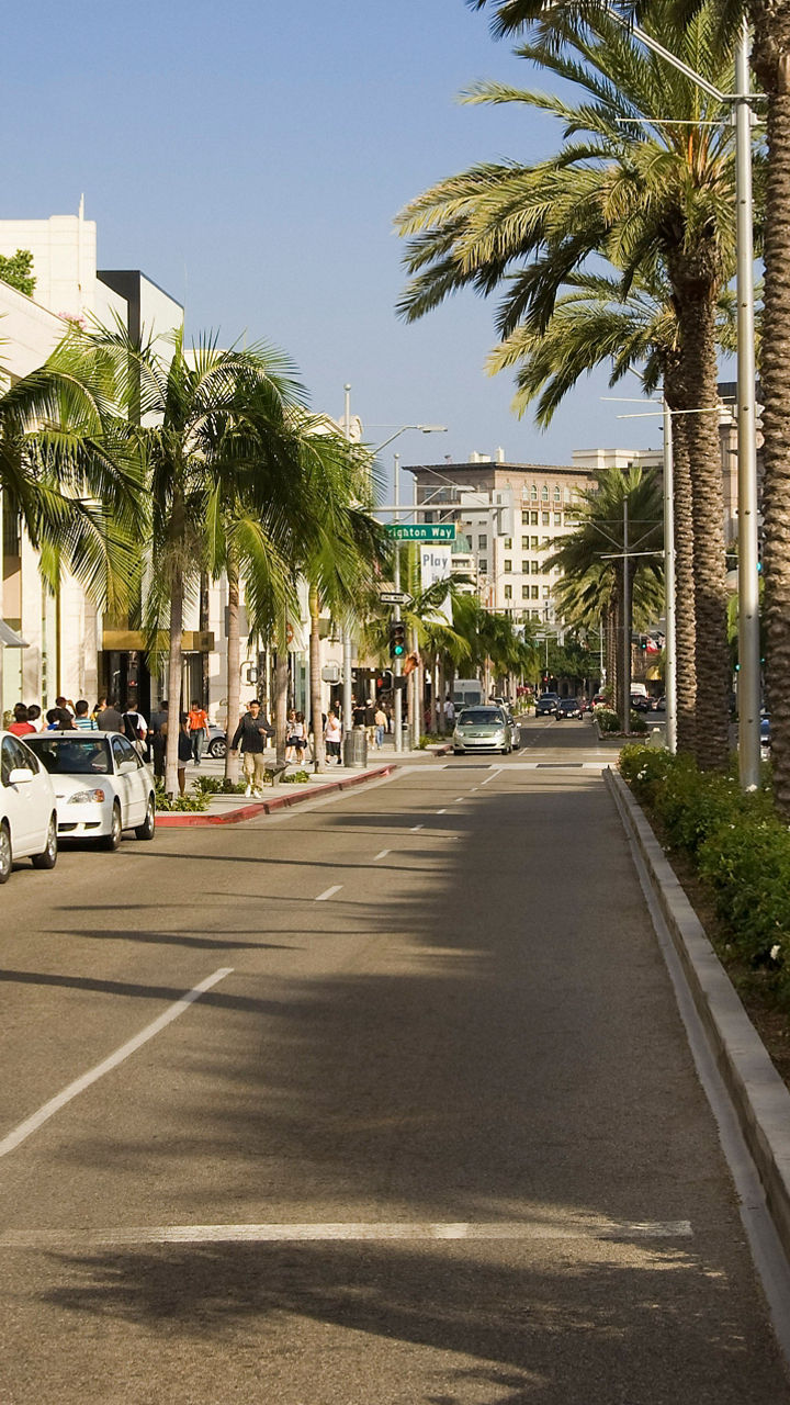 Sunny street lined with palm trees