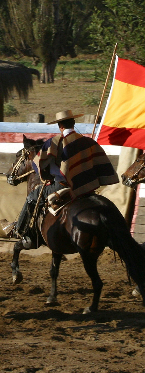 Horse riders with Chilean and Spanish flags
