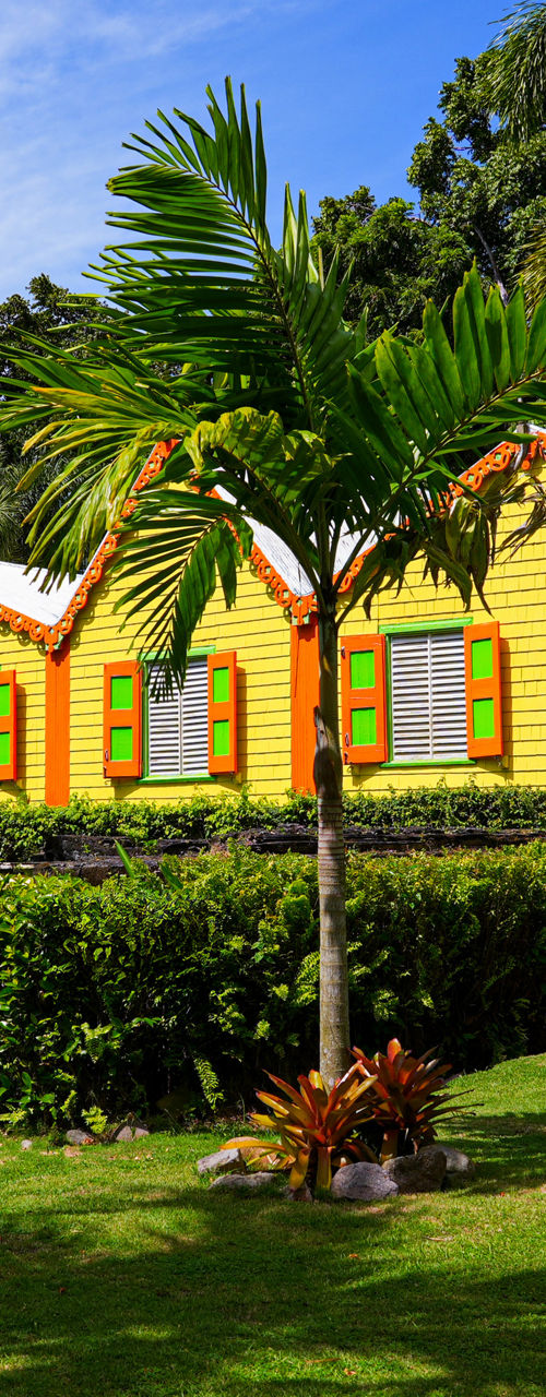 Colorful Caribbean Cottages Amid Lush Tropical Garden