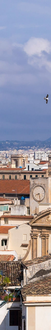 Historic cityscape with domed churches