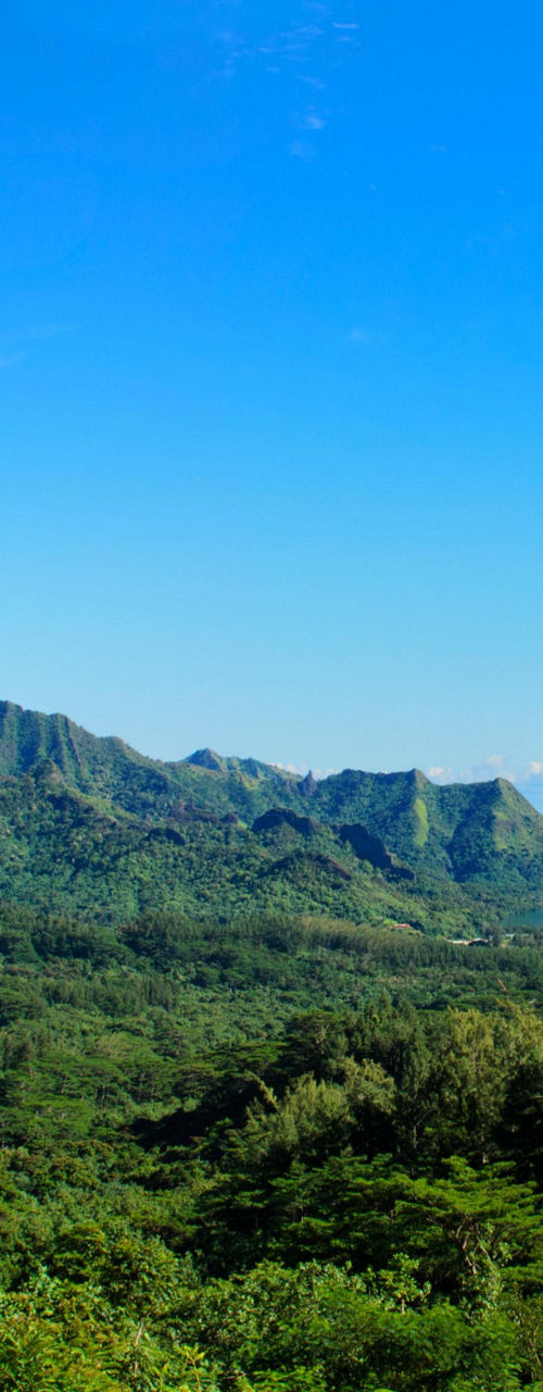 Panoramic view of lush tropical mountains