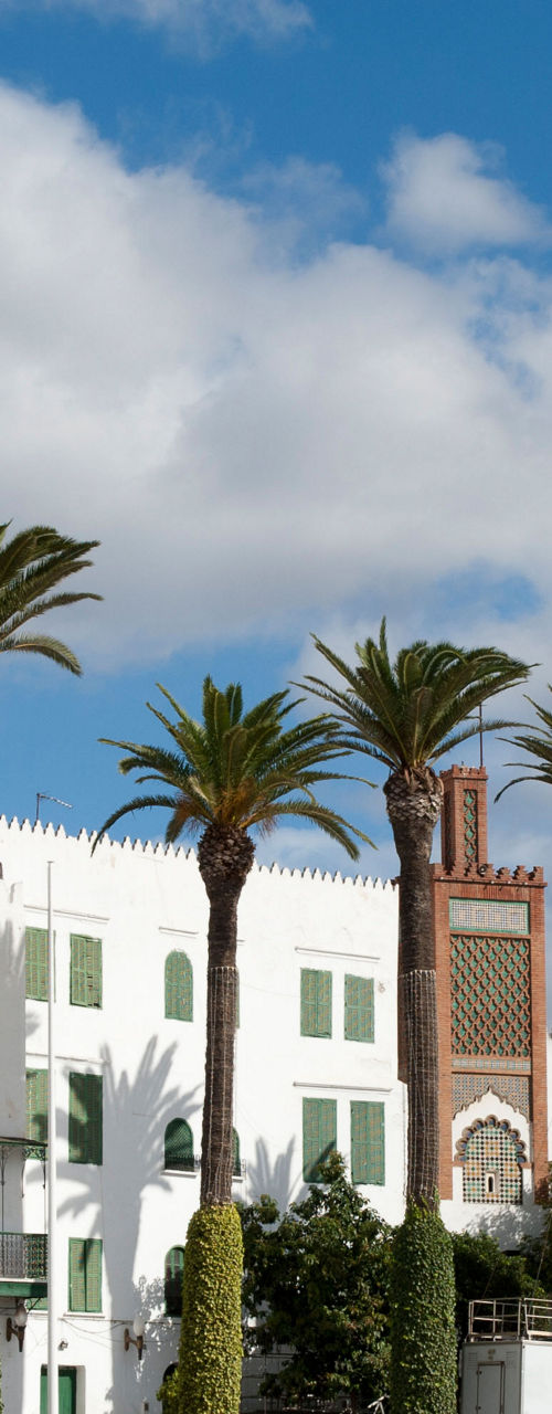 White architectural buildings with palm trees