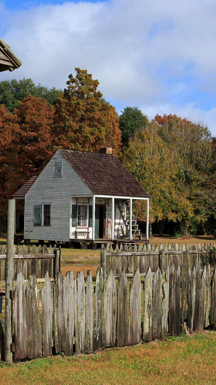 Historic wooden cabins in rural setting