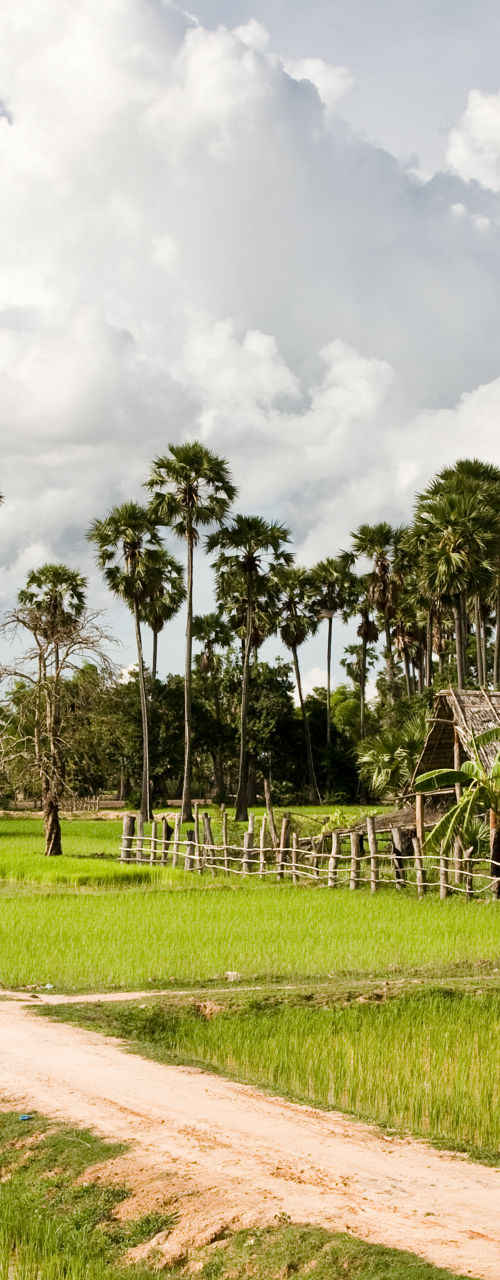 Rural wooden house in lush green fields