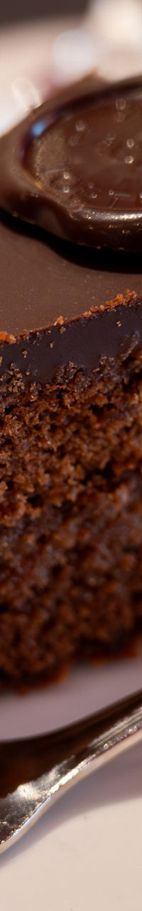 Slice of chocolate cake with whipped cream