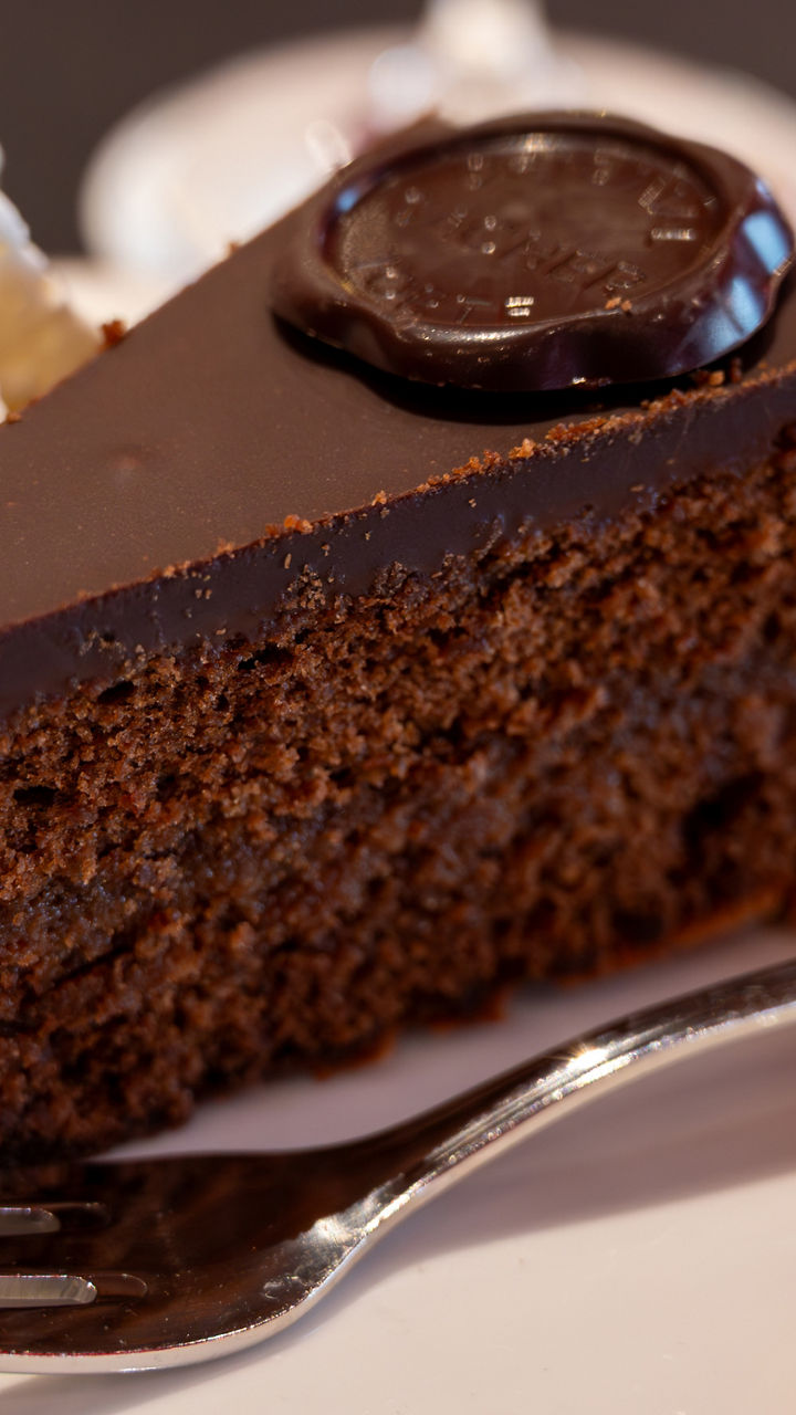Slice of chocolate cake with whipped cream