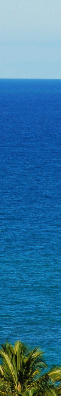 Colorful sailboat on tropical ocean horizon