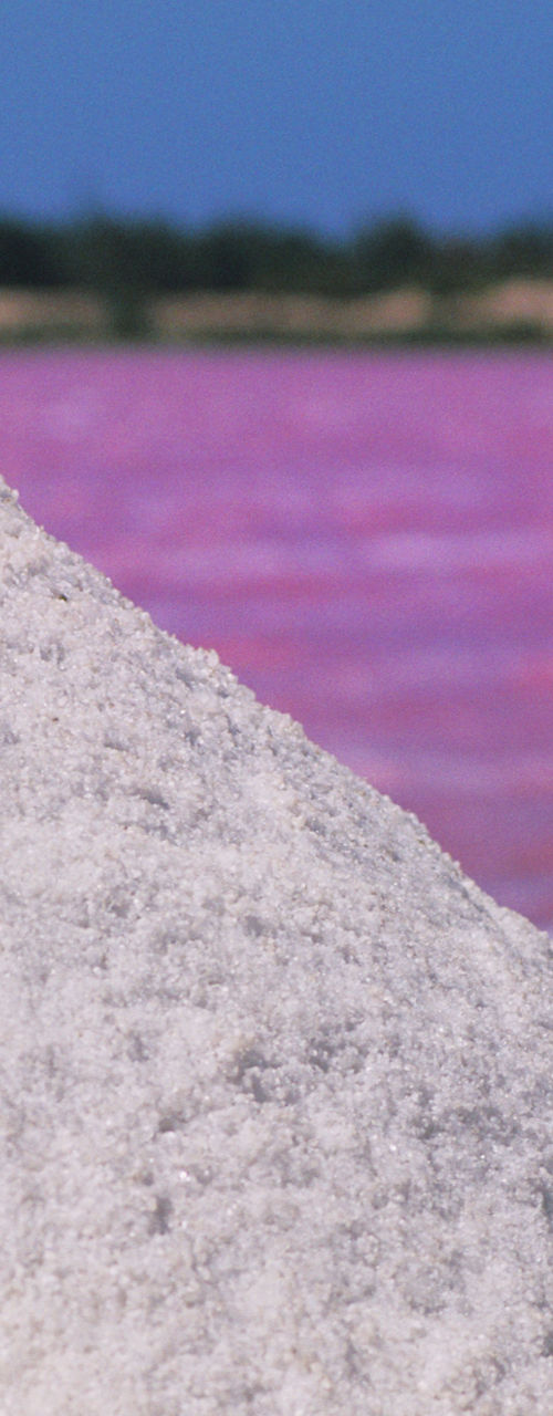 Salt mound near pink lake with worker