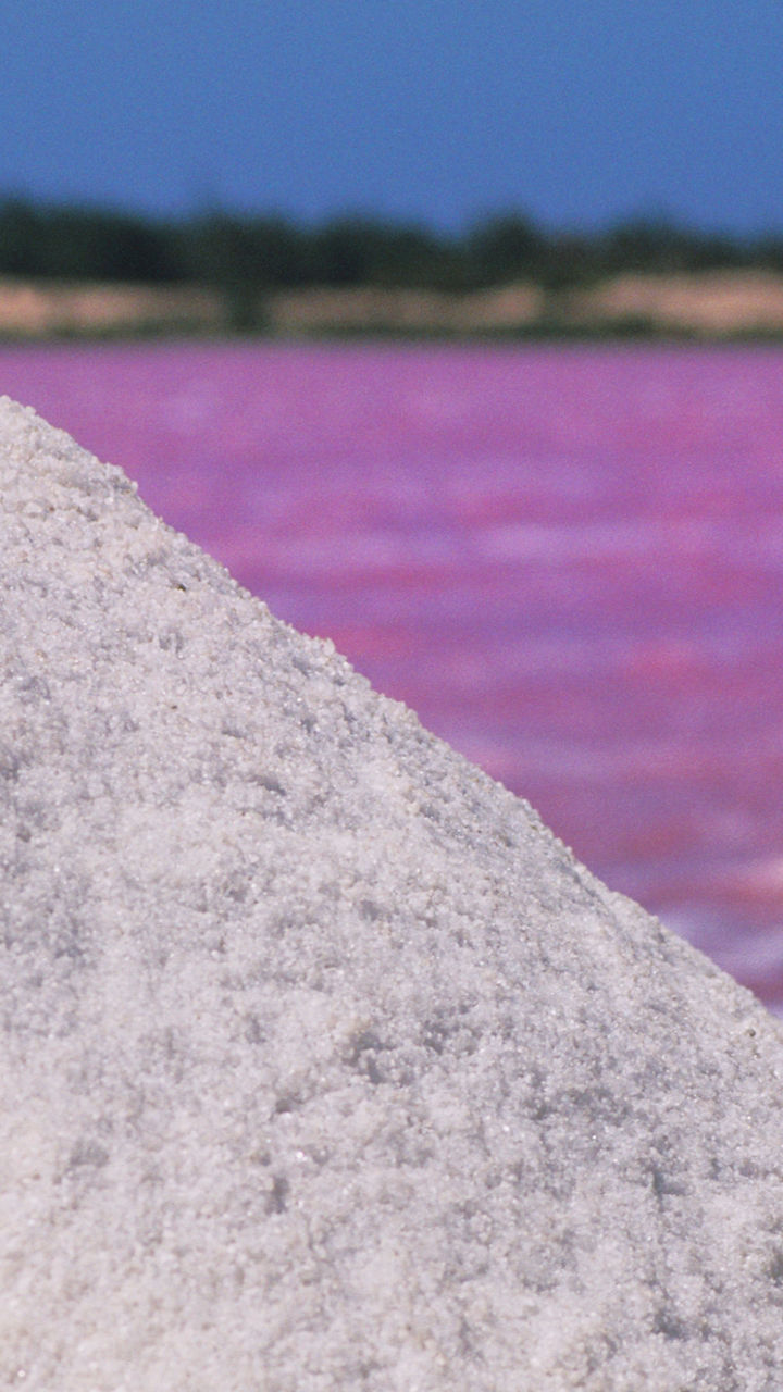 Lake Retba by 4x4