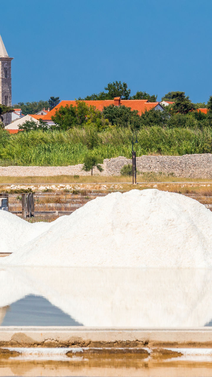 Tales of Salt and Wine