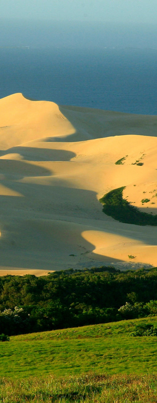 Golden sand dunes with lush greenery