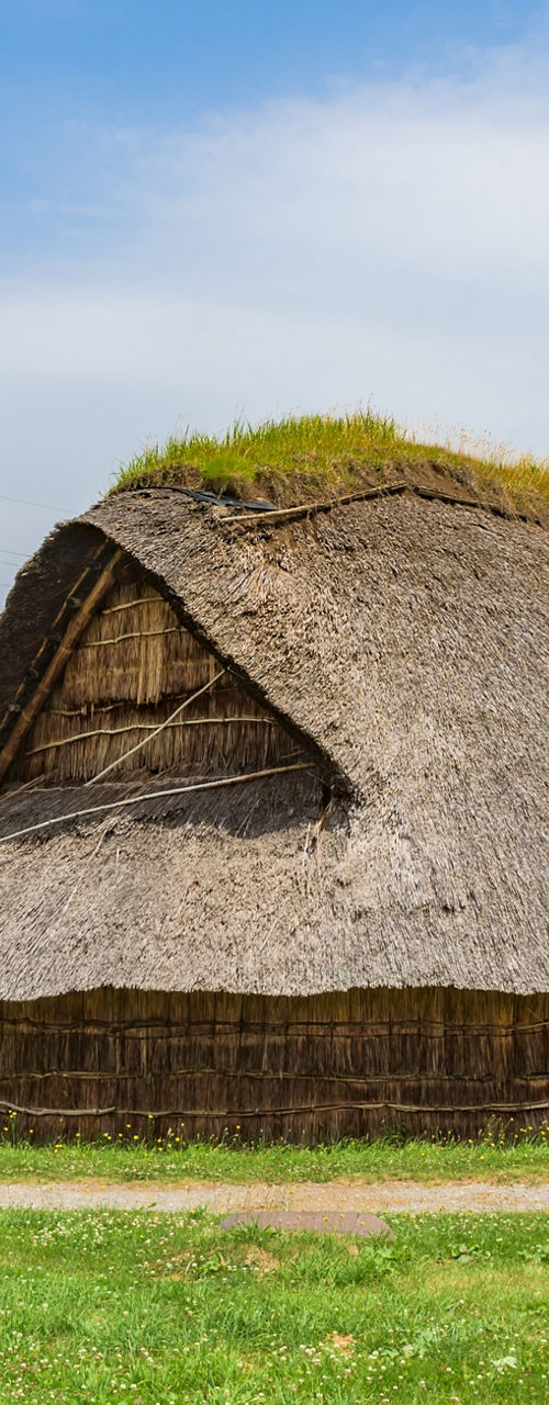 Traditional thatched house and tall wooden structure outdoors