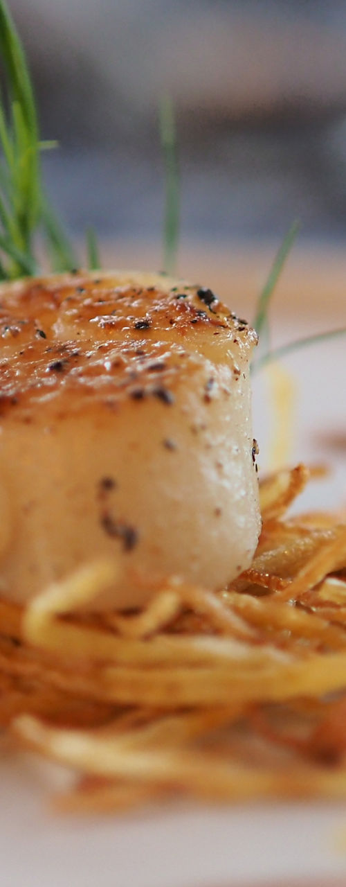 Seared scallop on crispy potato nest