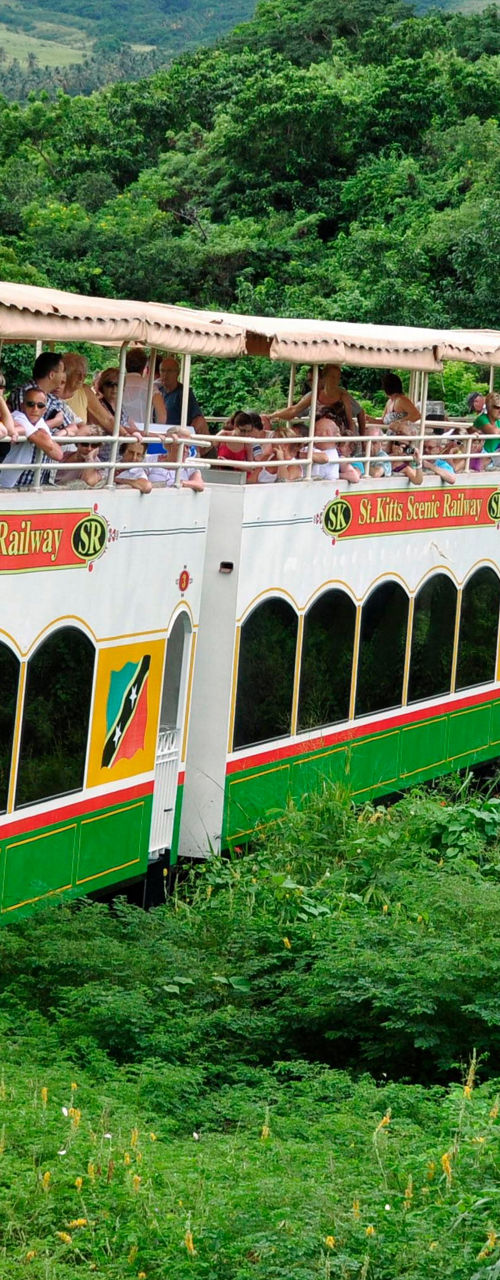 Scenic train ride through lush greenery
