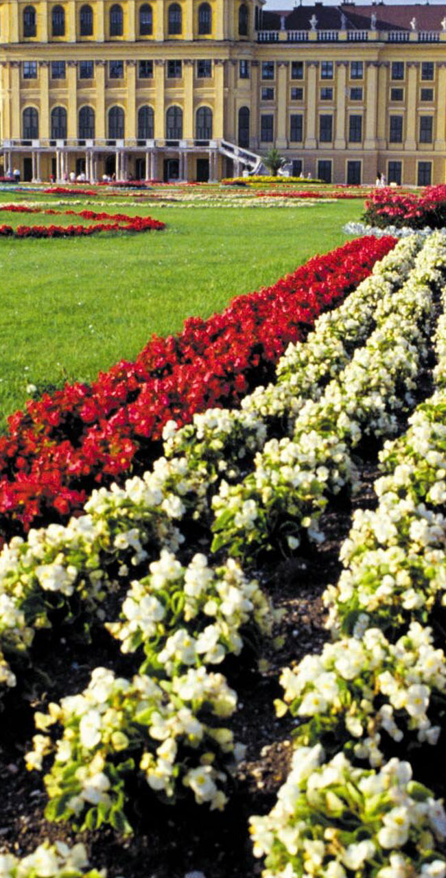 Schonbrunn Palace with vibrant flower garden