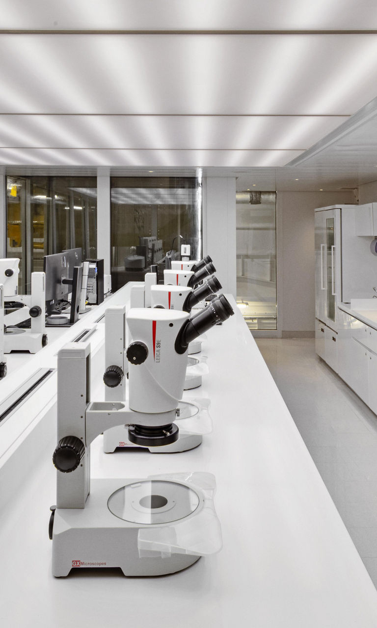 Modern laboratory with microscopes and screens
