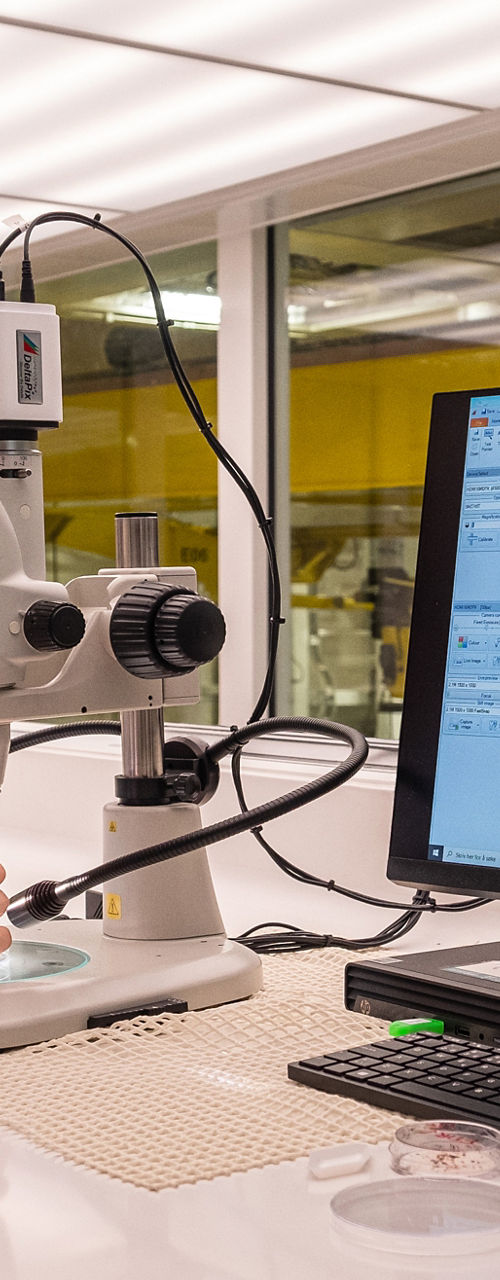 Scientist analyzing samples under microscope