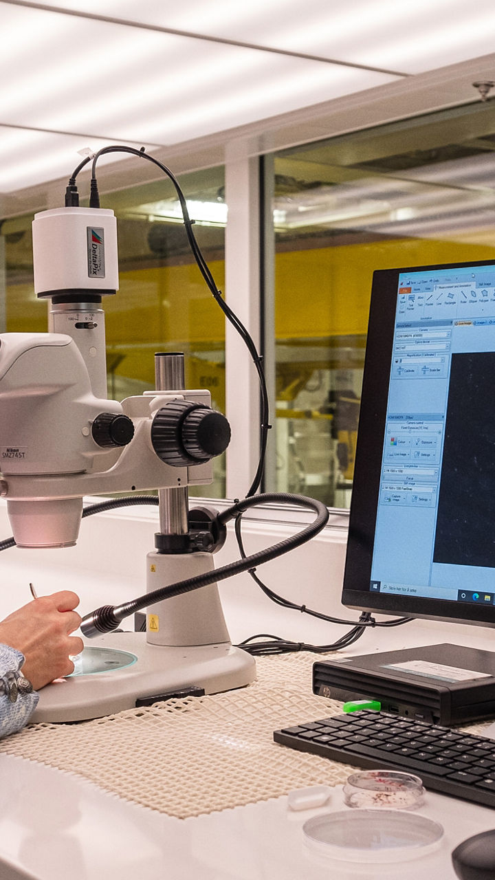 Scientist analyzing samples under microscope