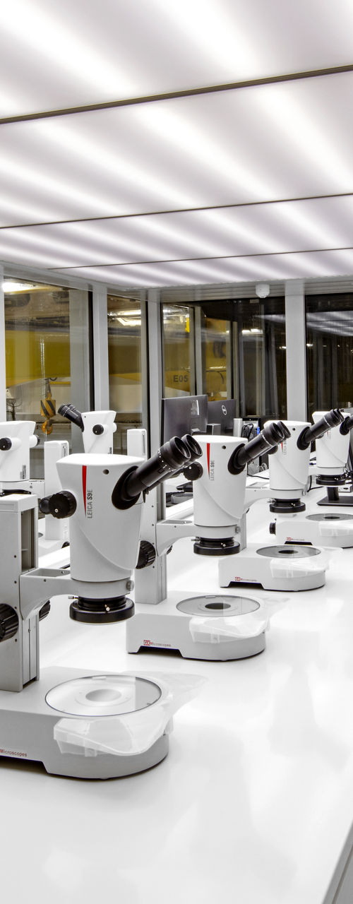 Modern laboratory with microscopes and equipment
