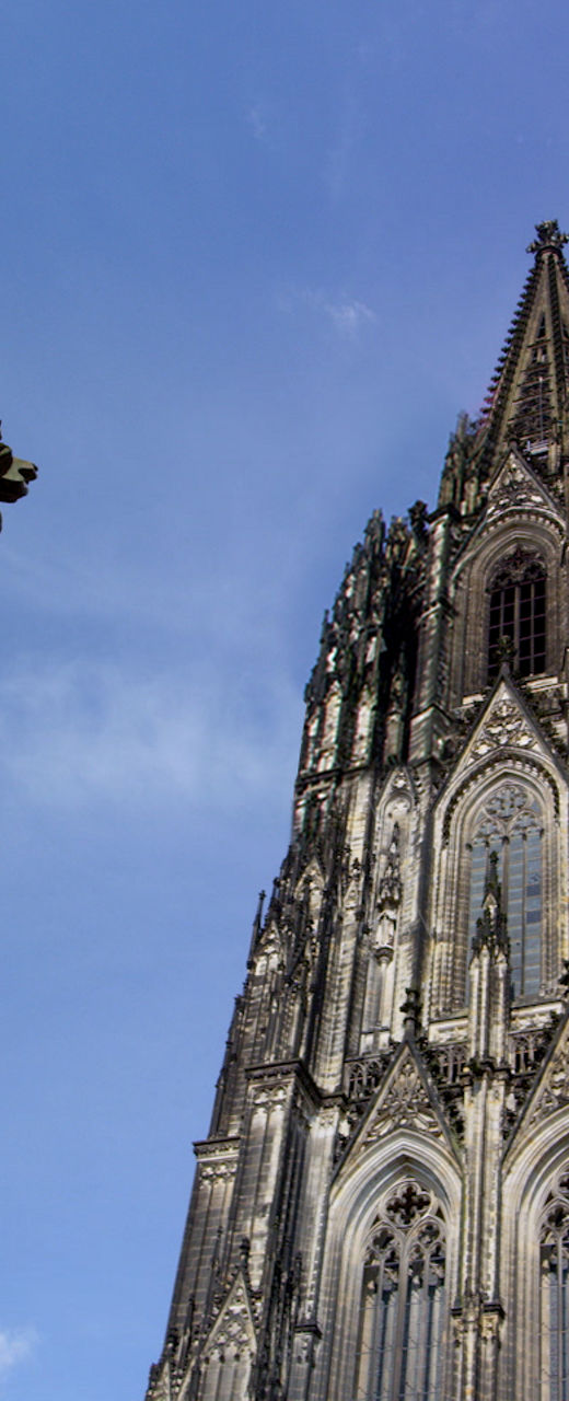 Gothic Cathedral with Ornate Architecture