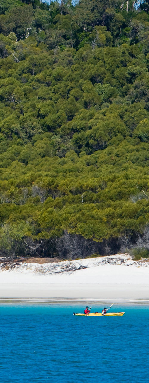Kayakers on turquoise water near lush shoreline