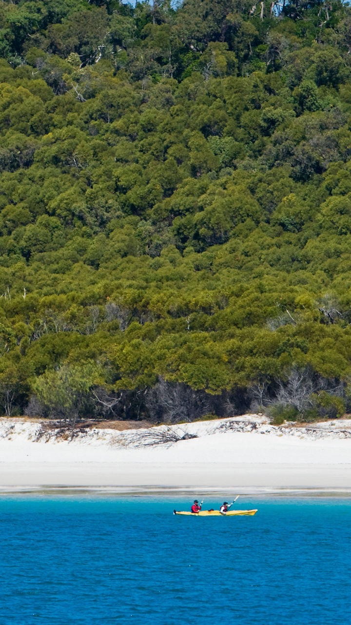 Inner Islands by Kayak