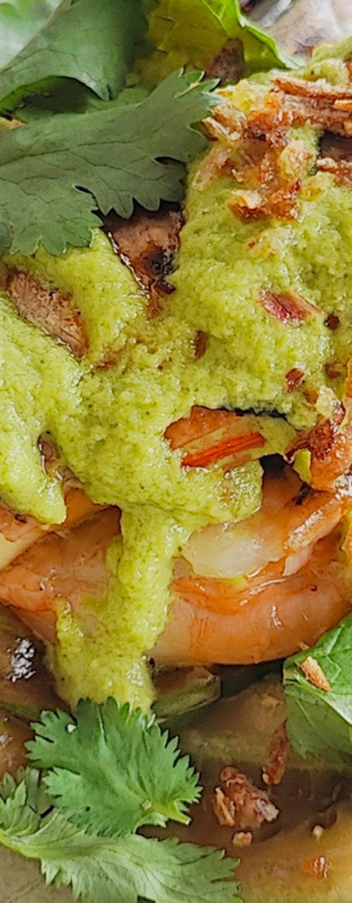 Gourmet grilled prawn with fresh herb garnish