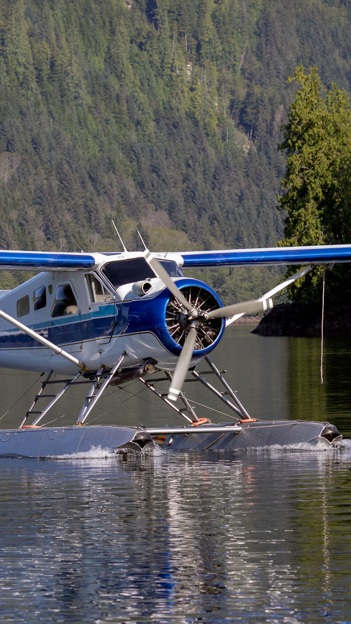 Flightseeing & Taste of Alaska