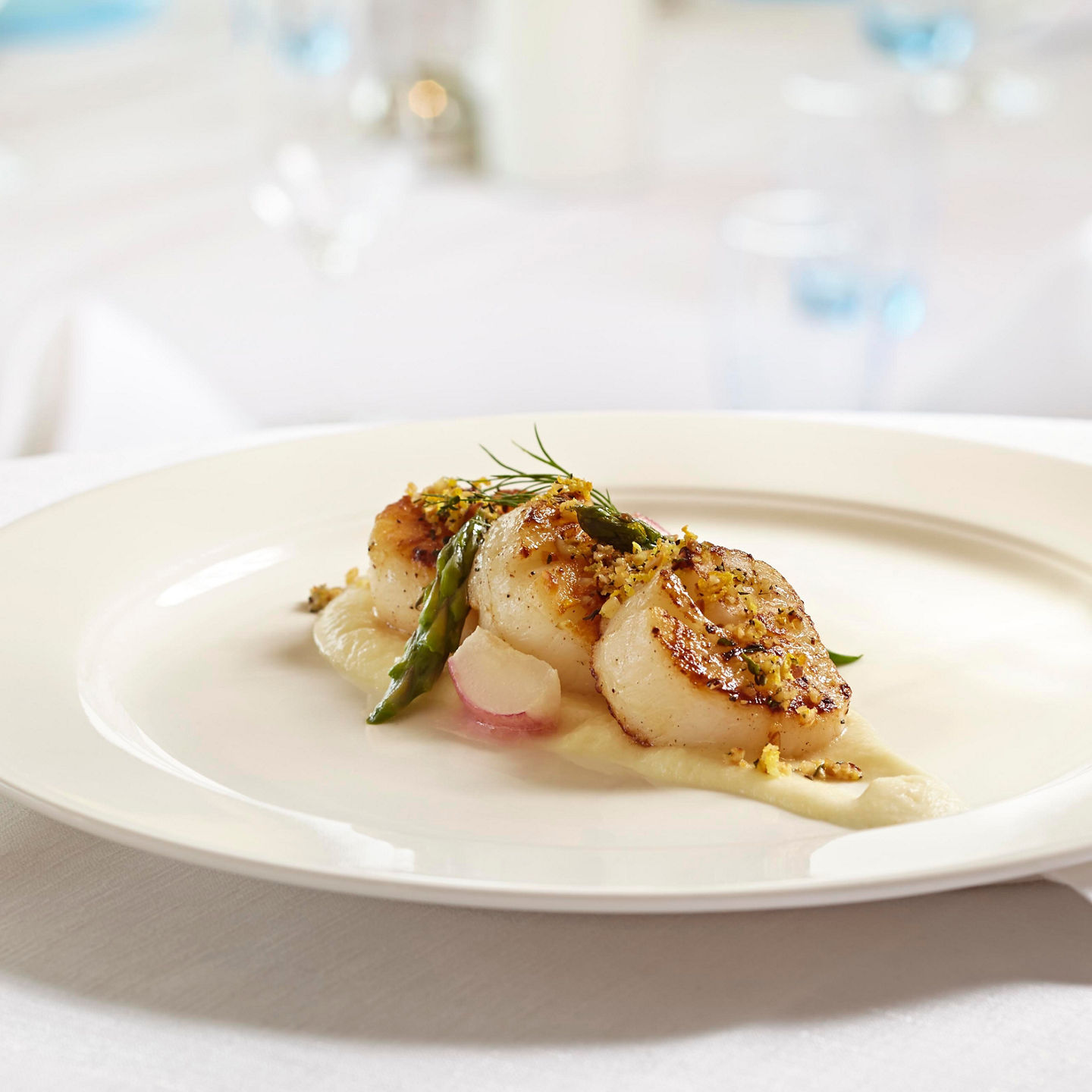 Seared scallops plated in elegant dining setting