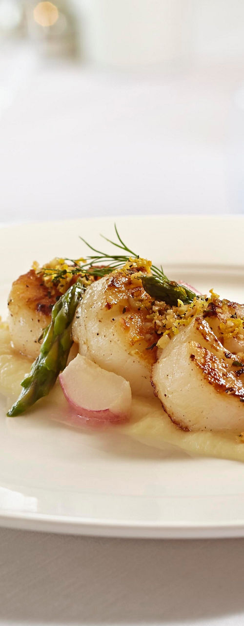 Seared scallops plated in elegant dining setting