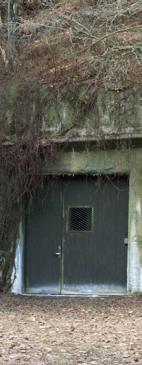 Secluded bunker entrance in forest clearing
