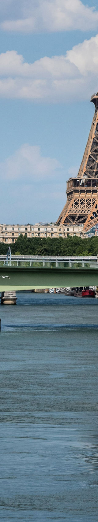 Eiffel Tower view with Seine River cruise