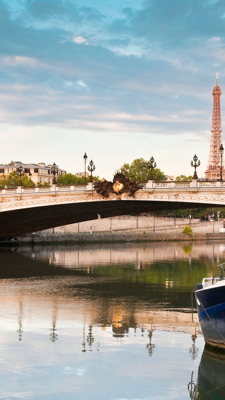 Pont Alexandre III with Eiffel Tower View