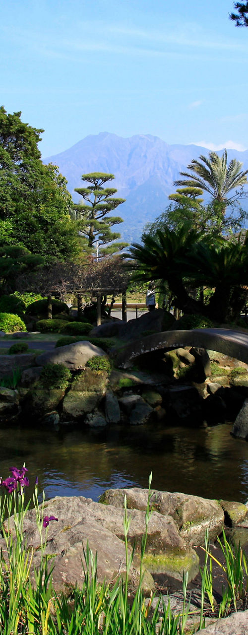 Serene Japanese garden with stone bridge