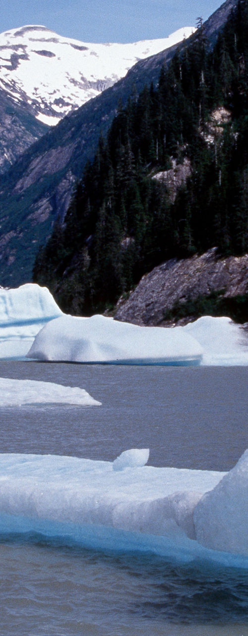 Scenic glacier landscape with floating icebergs