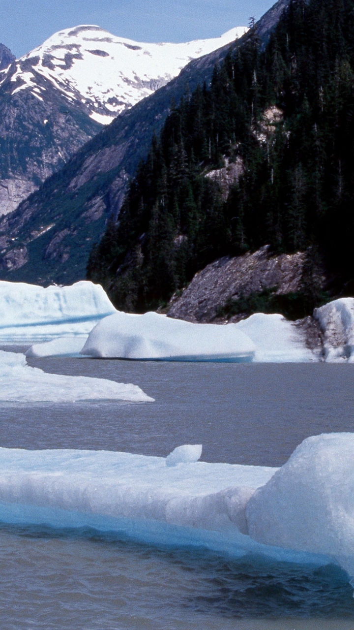 Captain’s Choice Glacier Viewing